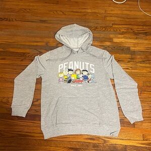 Peanuts Snoopy Gang Men’s Medium Gray Pullover Hoodie Since 1950 Graphic